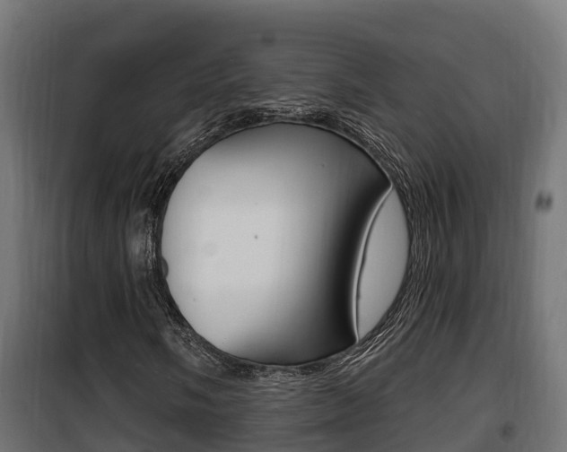 X0000100781058200806191011