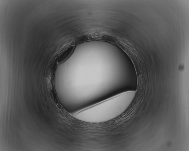 X0000100781060200806191011