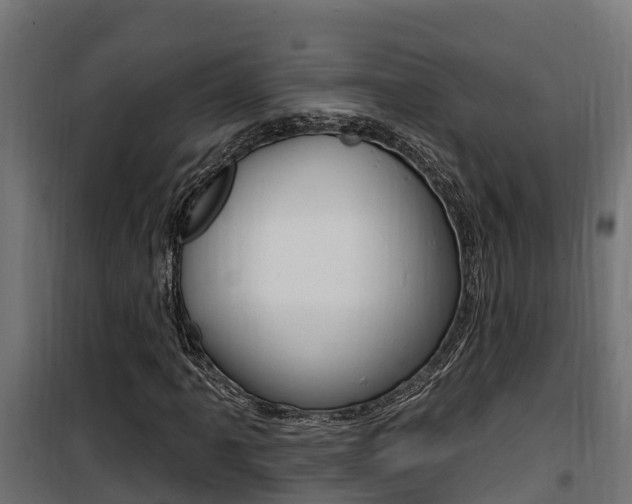 X0000100781061200806191011