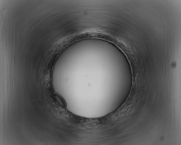 X0000100781062200806191011