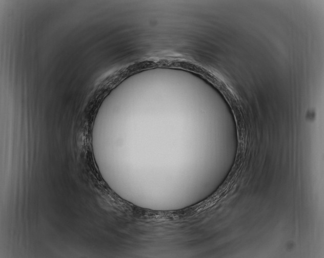 X0000100781063200806191011