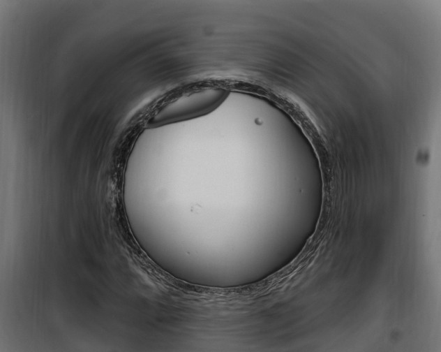 X0000100781064200806191011