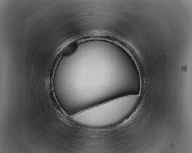 X0000100781065200806191011