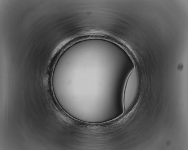 X0000100781066200806191011