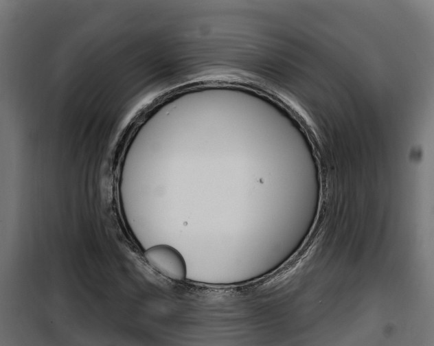 X0000100781067200806191011