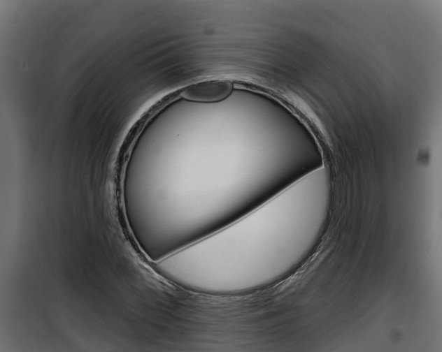 X0000100781068200806191011