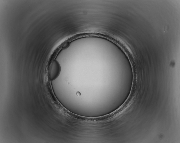 X0000100781069200806191011