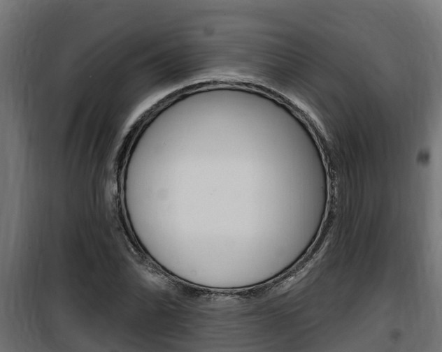 X0000100781070200806191011