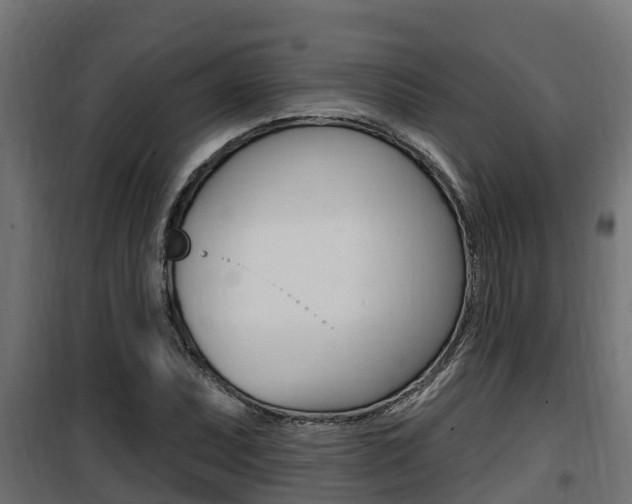 X0000100781071200806191011