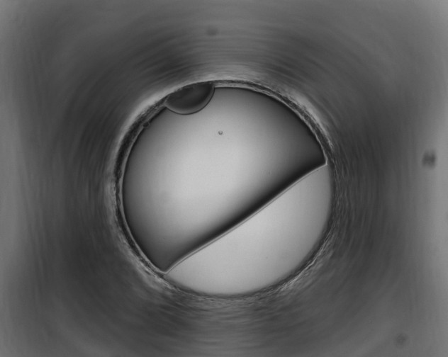 X0000100781072200806191011