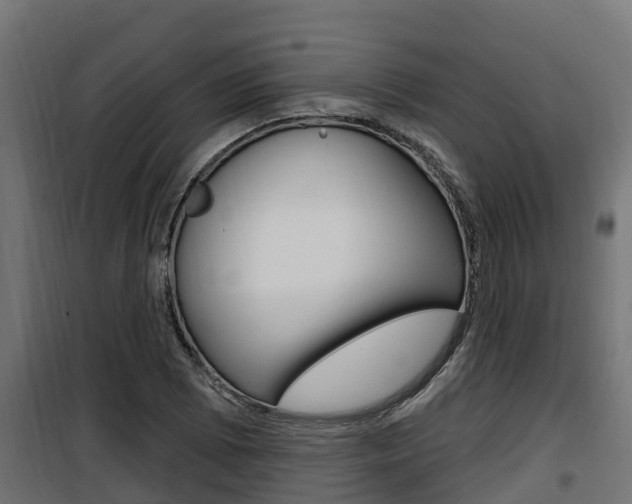 X0000100781073200806191011