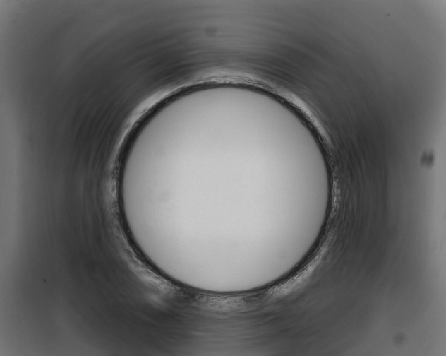X0000100781074200806191011