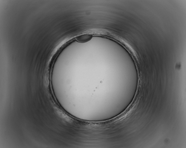 X0000100781075200806191011