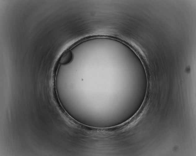 X0000100781077200806191011