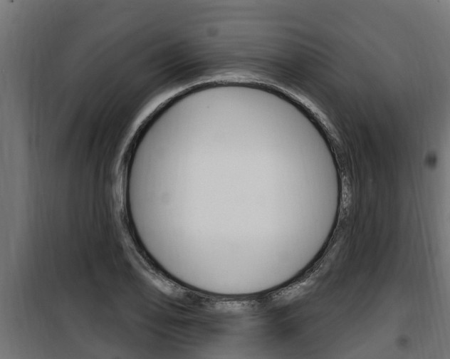 X0000100781078200806191011