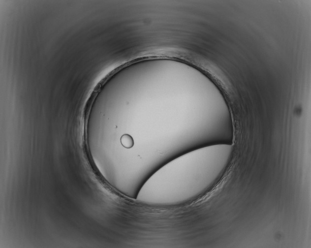 X0000100781079200806191011