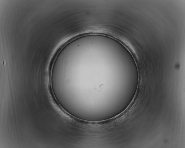 X0000100781080200806191011