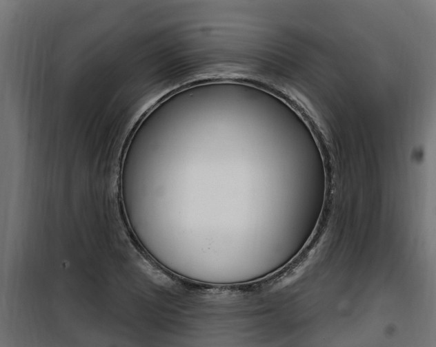 X0000100781081200806191011