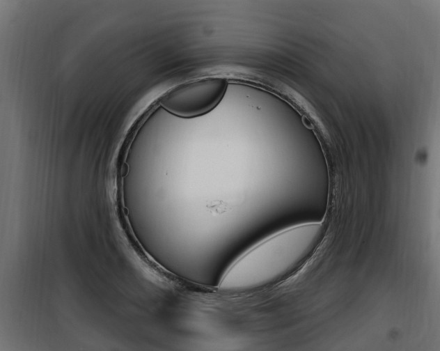 X0000100781082200806191011