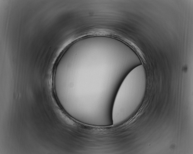 X0000100781083200806191011