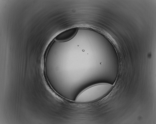 X0000100781084200806191011