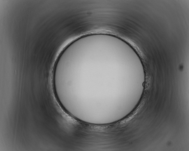 X0000100781086200806191011