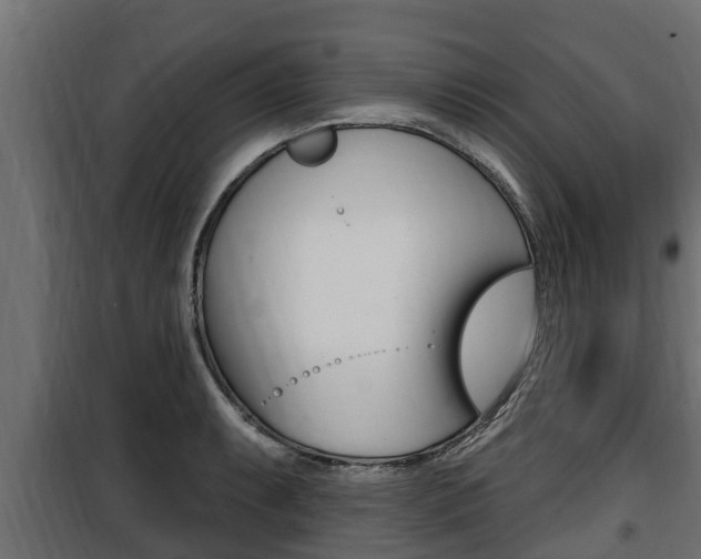 X0000100781087200806191011