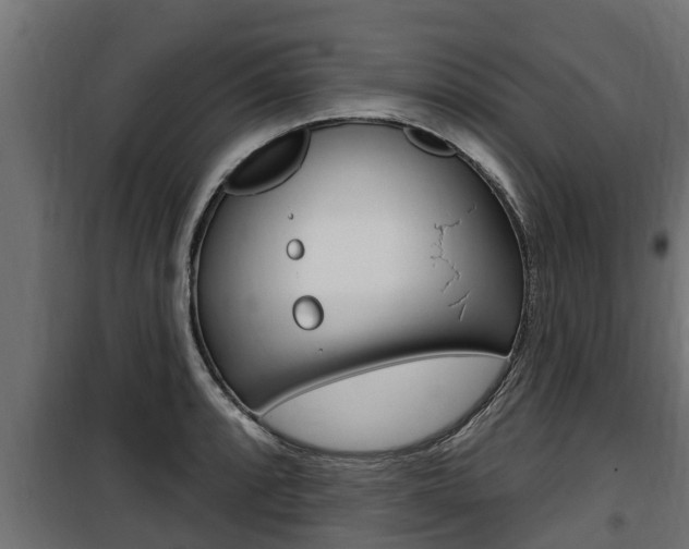 X0000100781088200806191011