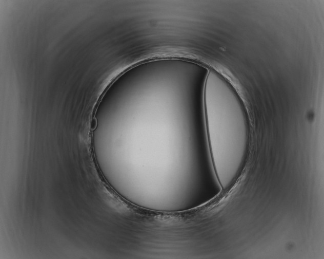 X0000100781089200806191011