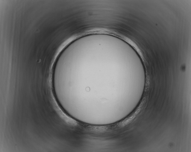 X0000100781090200806191011