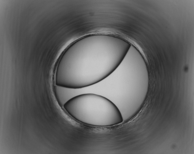 X0000100781091200806191011