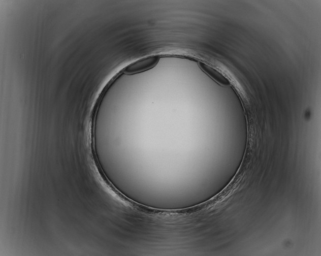 X0000100781092200806191011