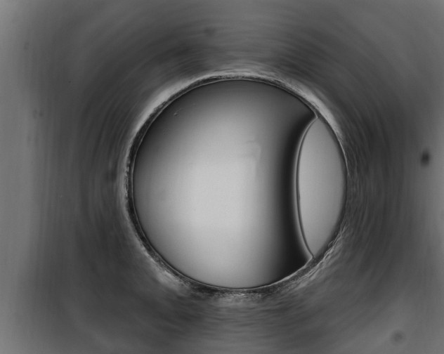 X0000100781093200806191011