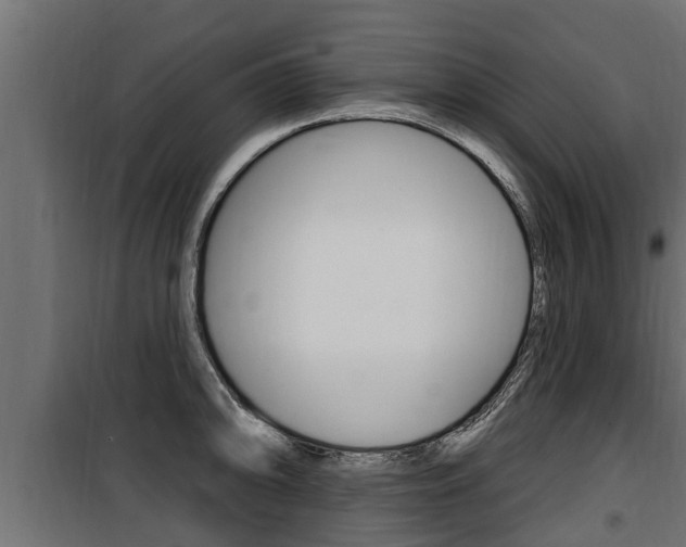 X0000100781094200806191011