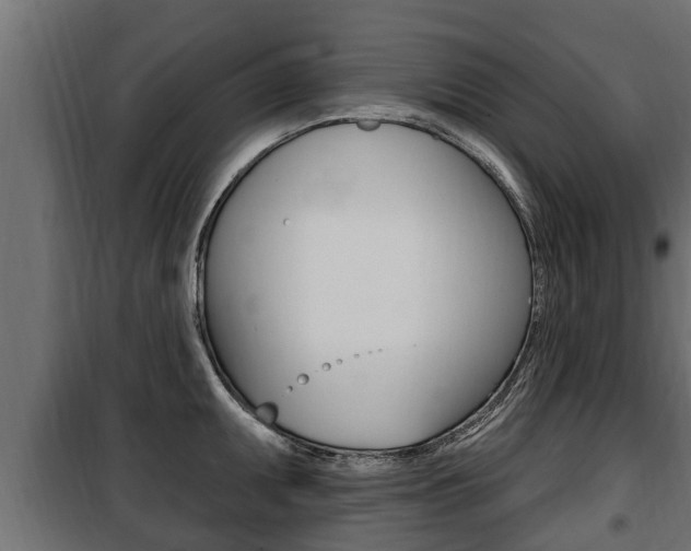 X0000100781095200806191011