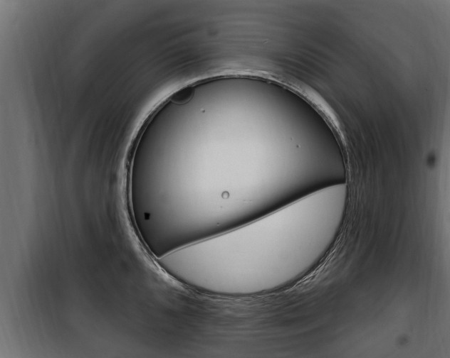 X0000100781096200806191011