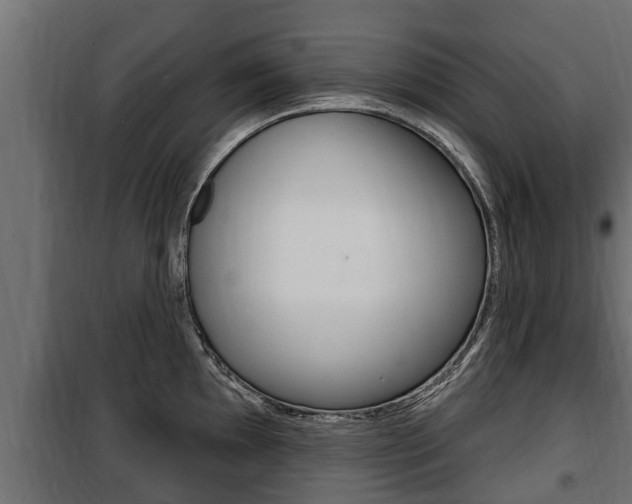 X0000100781097200806191011