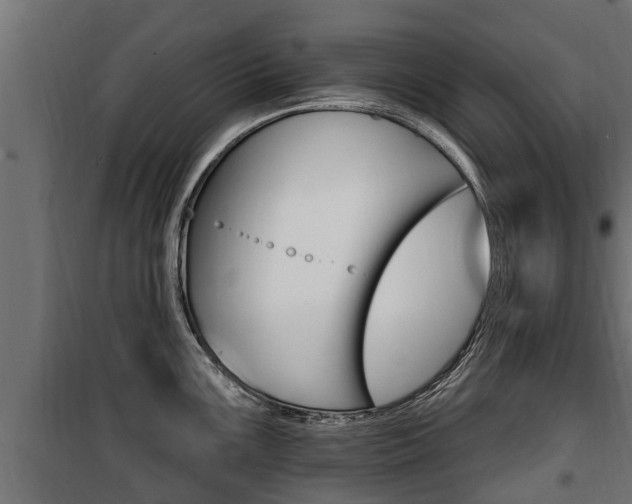 X0000100781099200806191011