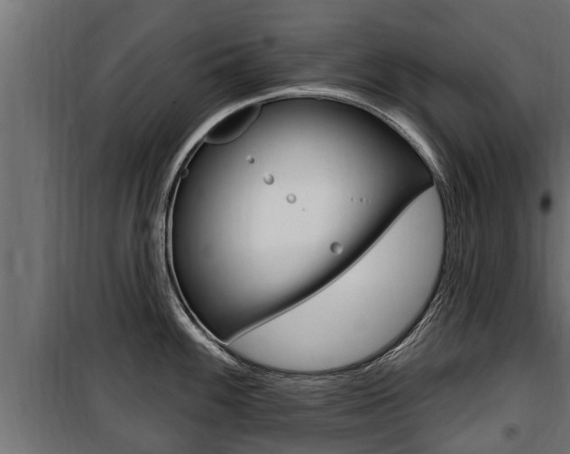 X0000100781100200806191011