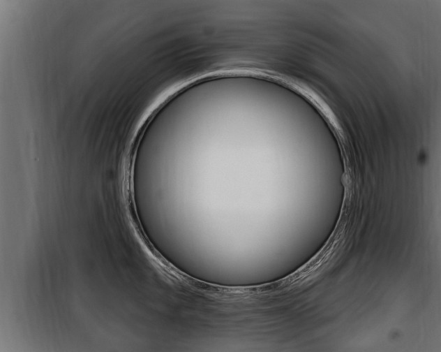 X0000100781101200806191010