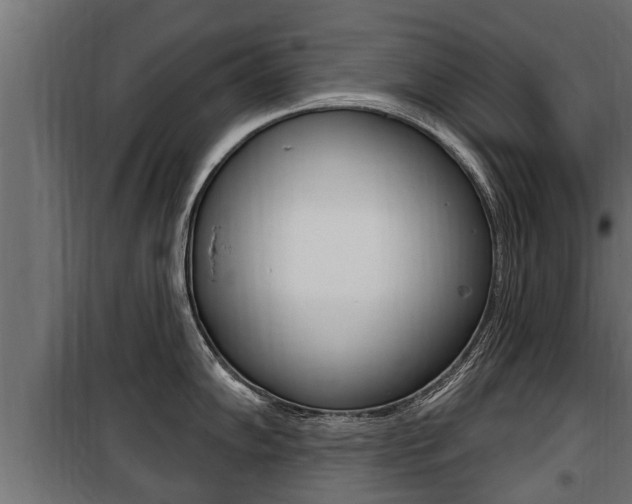 X0000100781102200806191010