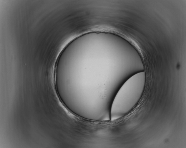 X0000100781103200806191010