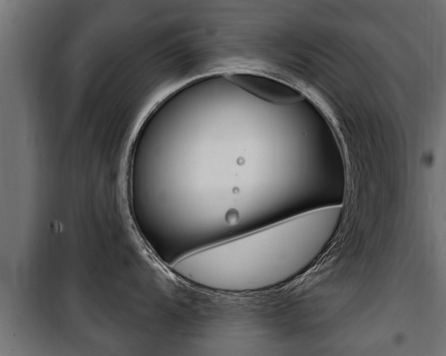 X0000100781104200806191010
