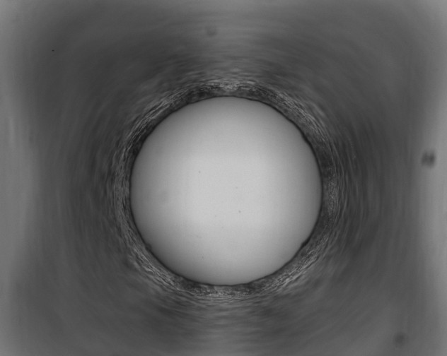 X0000100781105200806191010