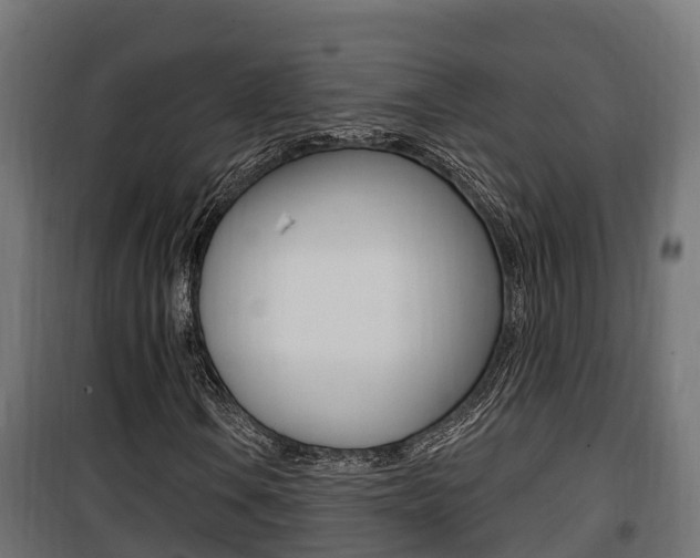 X0000100781106200806191010