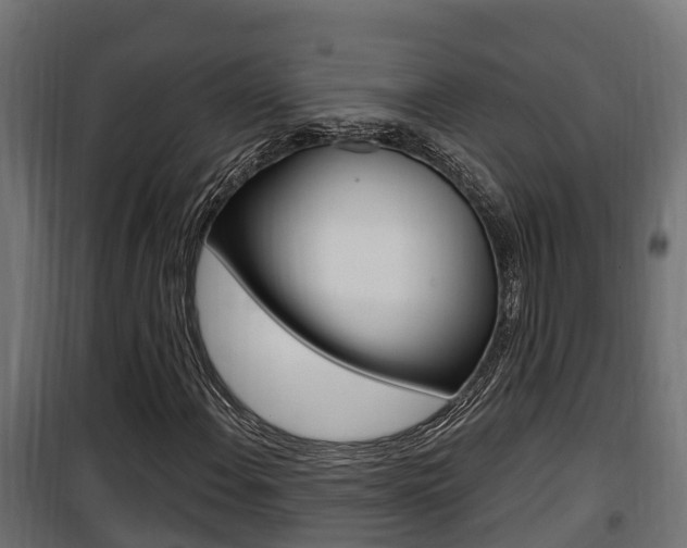 X0000100781108200806191010