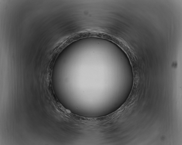 X0000100781110200806191010