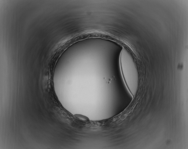X0000100781111200806191010