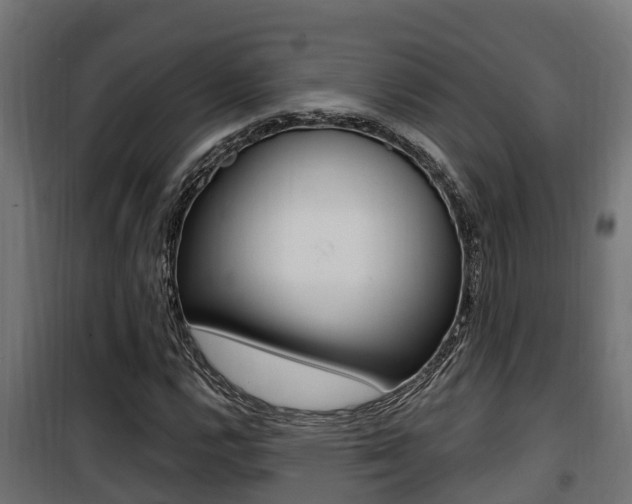 X0000100781112200806191010