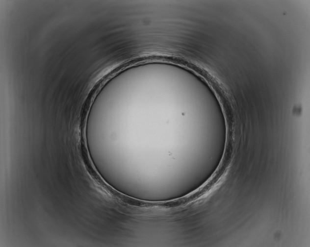 X0000100781113200806191010